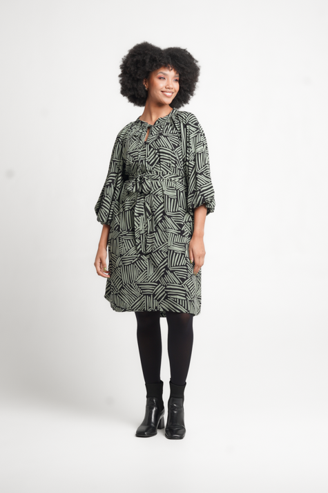 Colleen Eitzen Sage/Black Print Zia Dress