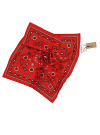 Tiger Blue Bandana Red